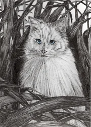 Dschungel Monty, 2015