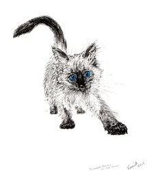 Auf der Pirsch!, 2015