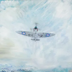 Spitfire Ass der Spaten, 2016