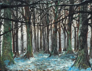 Hirsch und Läufer Lyme Park, 2016