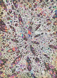 Sterne gebären Farbe, 2016
