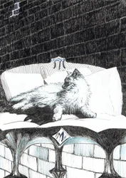Seite 52, Das Schloss im Wald von Findhorn, 2006