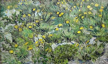 Les pissenlits Löwenzahn, 1889