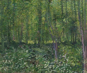 Bäume und Unterholz. 1887