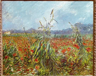 Kornfelder und Mohnblumen