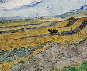 Eingezäuntes Feld mit Pflüger