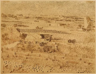 Ernte in der Provence