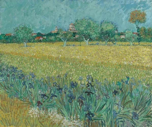 Blumenfeld bei Arles