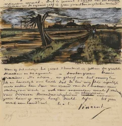 Kopfweide, Brief an Theo van Gogh. 1882