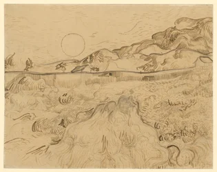 Kornfeld, der Schnitter