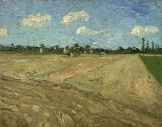 Gepflügte Felder („Die Furchen“)