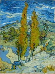 Zwei Pappeln in den Alpilles bei Saint-Rémy