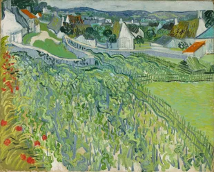 Weinberge in Auvers