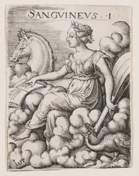 Sanguinisches Temperament