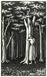 Illustration für Tess von den d