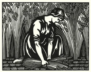 Illustration für Tess von den d