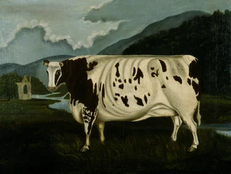 Die berühmte Craven-Kuh