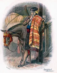 Spanischer Maultiertreiber, 1809