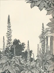 Illustration zu Ein Sommernachtstraum, 1914, 1925