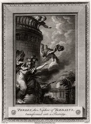 Perdix, der Neffe des Dädalus, wird in ein Rebhuhn verwandelt, 1774