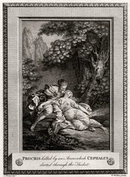 Procris, getötet von einem Pfeil, den Cephalus durch das Dickicht schoss