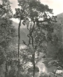 Ansicht des Kelani-Flusses, Kurunegala, Ceylon, 1895