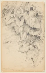 Studie von Pflanzen am Wasser, High Bridge