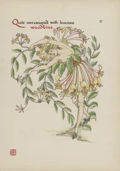 Blumen aus Shakespeares Garten