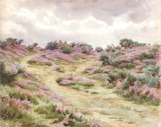 Glockenheide auf Setley Plain