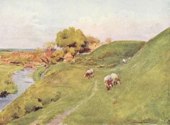 Wessex: Auf den alten Mauern von Wareham