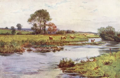 Wessex: Der Frome bei Dorchester, Casterbridge