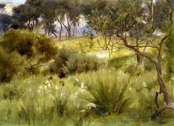 Ein Wald in Redesdale