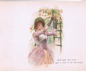 Halb Licht, halb Schatten (Illustration aus Tennyson Pictures)