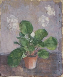 Stillleben mit Blumentopf