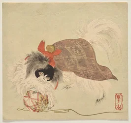 Japanischer Chin-Hund in einem lila Umhang, spielt mit einem Seidenfadenball