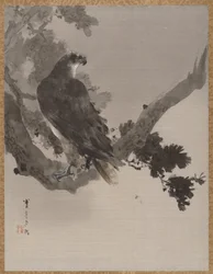 Adler in einem Baum