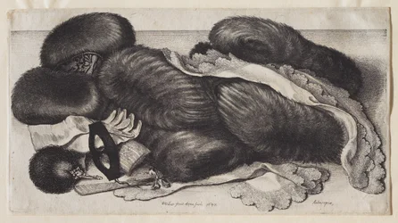 Eine Gruppe von Muffen