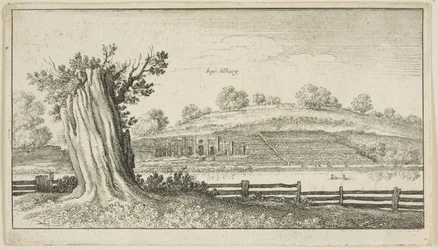 Albury mit Baumstumpf im Vordergrund