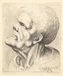 Kopf eines Mannes mit vorspringendem Kinn und Stupsnase, im Profil nach links oben blickend, 1625-77.