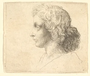 Kopf eines jungen Mannes mit langen Haaren im Profil nach links, 1644-52