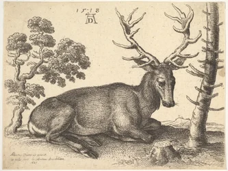 Hirsch, nach rechts liegend (1649)