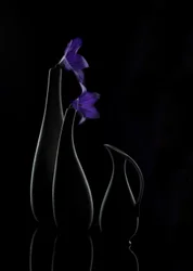 Lila Blüten Vasen