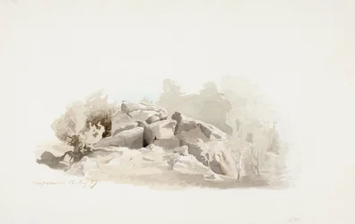 Zerklüfteter Felsvorsprung umgeben von Büschen