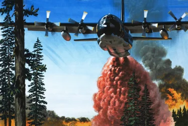 Bombardierung eines Waldbrandes