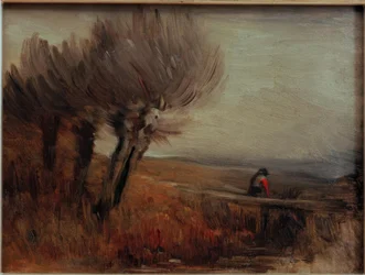 Flachlandschaft mit drei Kopfweiden