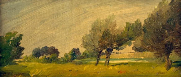 Grüne Sommerlandschaft – Weiden am Teich