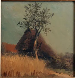 Kate im Kornfeld