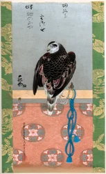 Falke, ca. 1790 1886