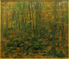 Felsengeröll im Odenwald