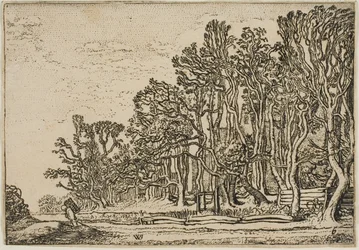 Landschaft mit Plankenhecken und Mann mit Holz
